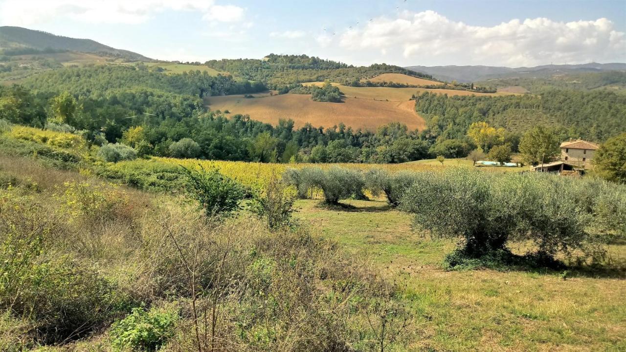 Campo Al Vento - Country Farm Villa Monte Castello di Vibio Buitenkant foto